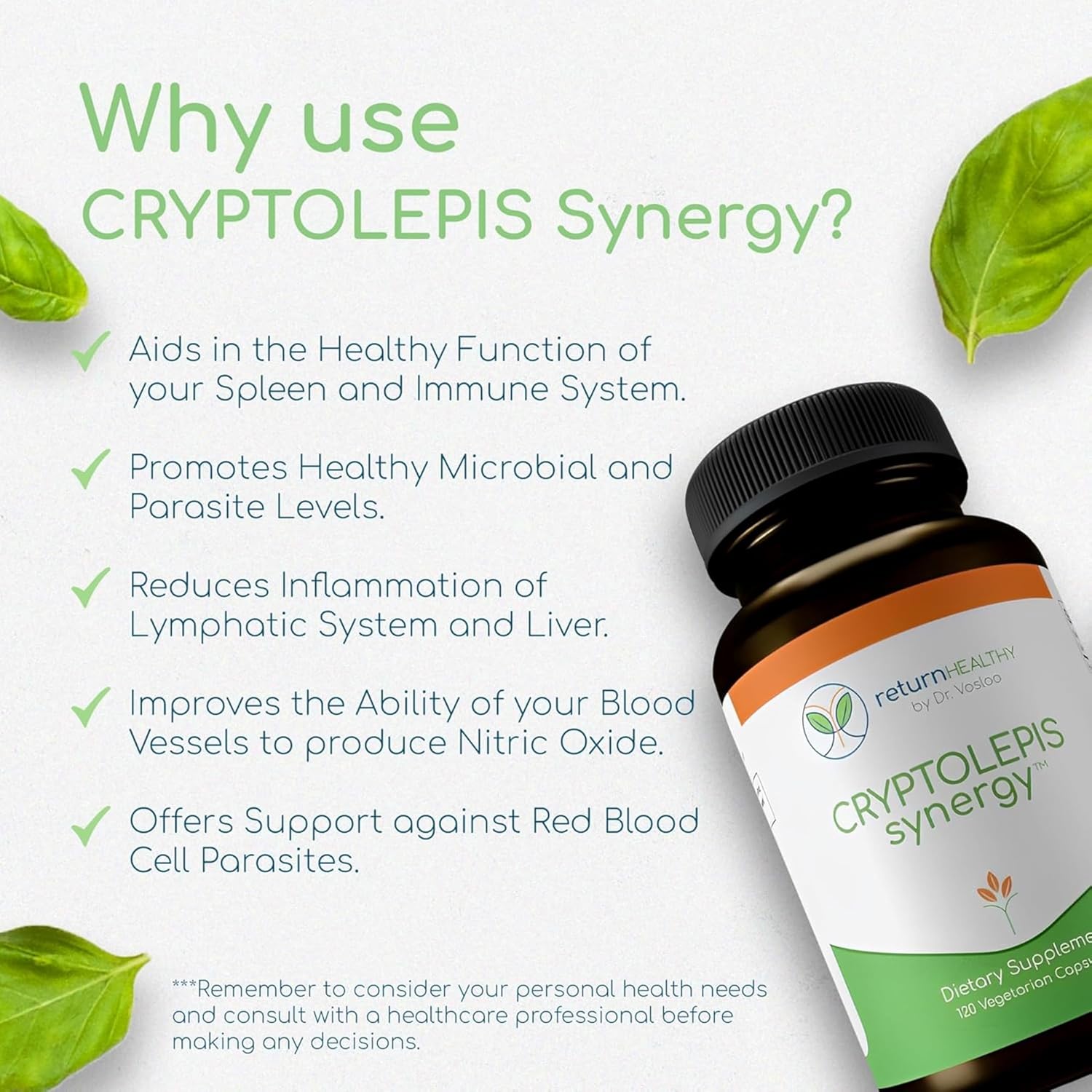 Cryptolepis Synergy, Immune Support Vitamins, Immune System Booster for Adults, Liver, Lymphatic, & Immune Support Supplement, Supports Lyme & Natural Parasite Defense, 120 Capsules, 3 Pack
