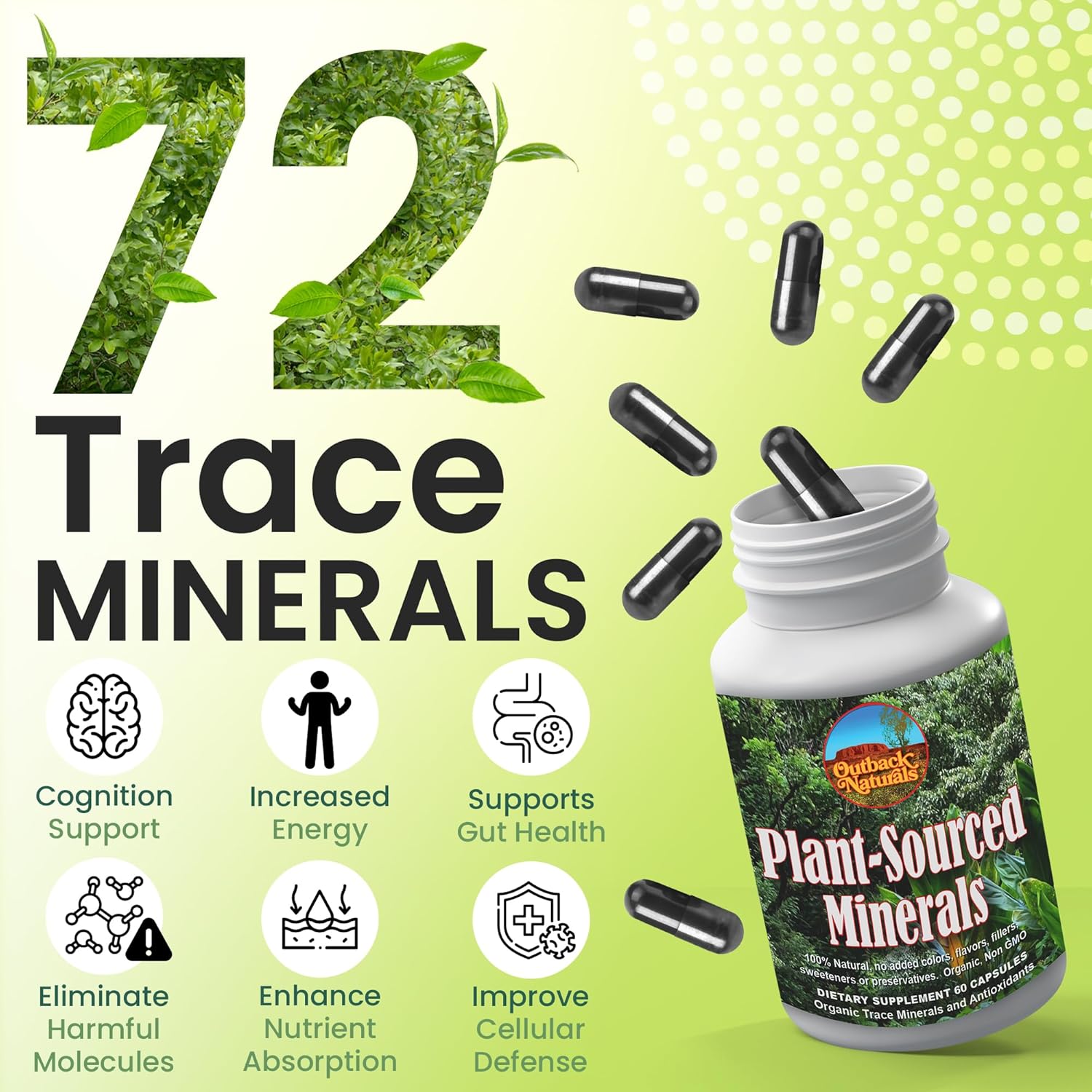 Plant-Sourced Fulvic & Humic Acid Extract Trace Mineral Supplement Blend for Immune Support, Gut Health, Cognitive Support, Vitality, Hydration & General Health - Pure Body Essentials - 60 Capsules