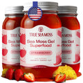 TrueSeaMoss Sea Moss Gel – Made in USA – Wildcrafted Seamoss, Fresh Fruits & Sea Vegetables – Strawberry, Pack of 3 (Labels may Vary)