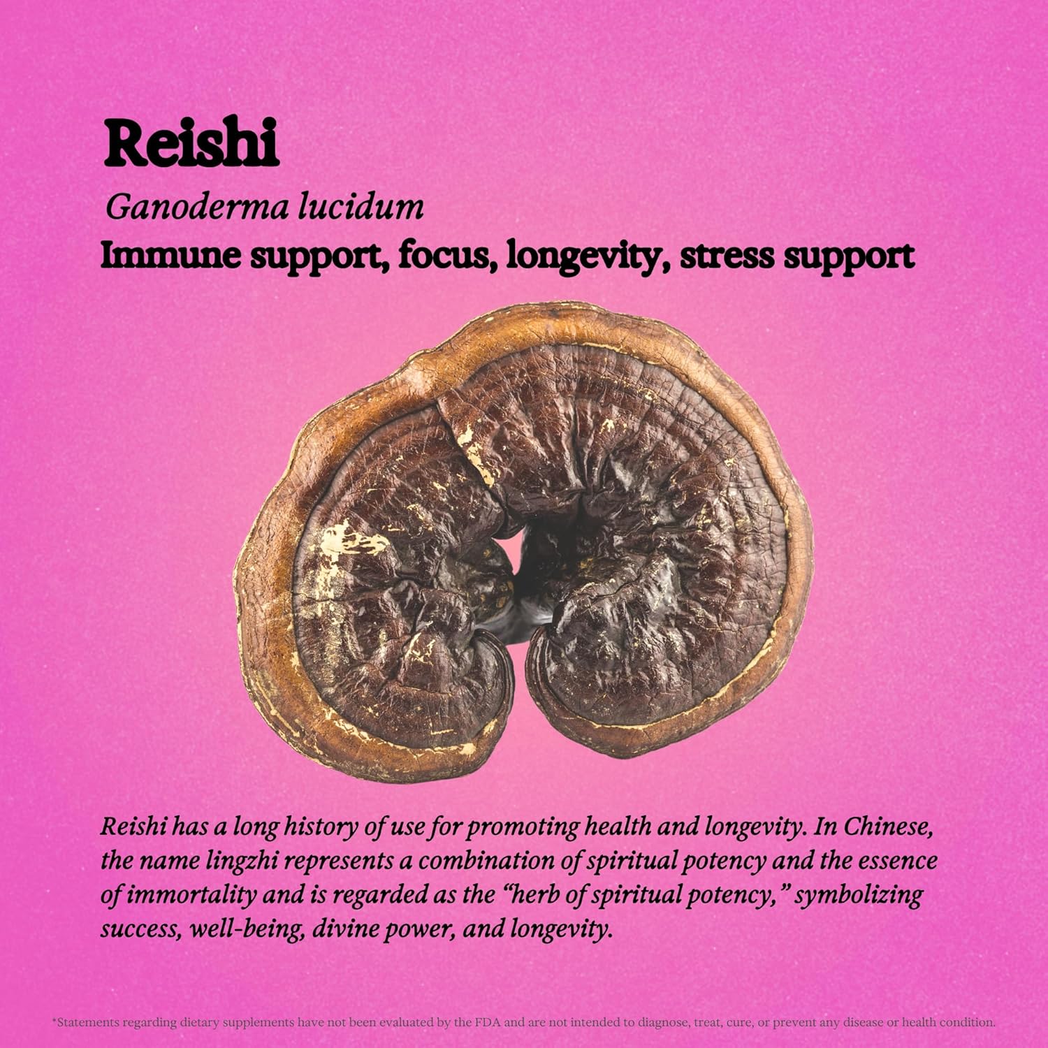 Reishi Mushroom Tincture - Alcohol Free - Dual Extract Mushroom Supplement - Immune Support, Mood, Sleep, Liquid Reishi Supplement, Vegan, Non GMO, 3.4 fl oz