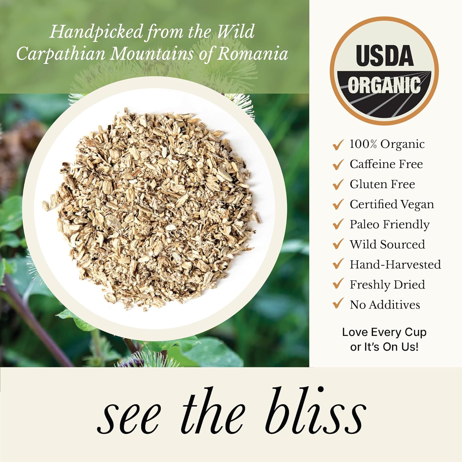 Wild Bliss Organic Burdock Root Tea - Caffeine Free Herbal Detox Support - Pharmacopoeia Quality - 25 Plant Based Tea Bags