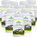 Active Hexose Correlated Compound 1500 mg Supplement, Natural 8 Mushroom Extract Supplement, Immune System, Liver Function, Natural Killer and T Cells Activity, 900 Veggie Capsules