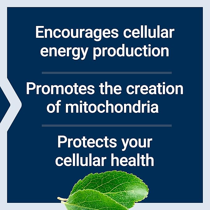 Life Extension Mitochondrial Energy Optimizer with PQQ - Energy Supplement for Healthy Mitochondria - With Taurine, Vitamin B, Pyrroloquinoline Quinone - Gluten-Free, Non-GMO - 120 Vegetarian Capsules
