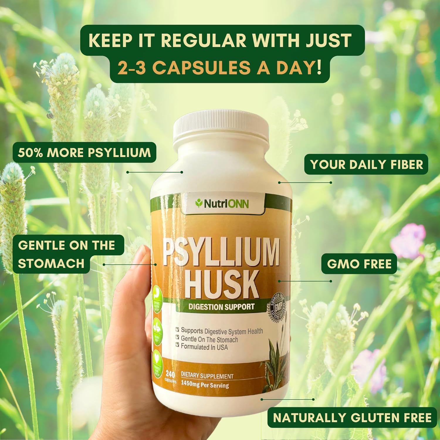 PSYLLIUM Husk Capsules - 1450mg Per Serving - 240 Capsules - Double Strength - Premium Psyllium Fiber Supplement - Great for Digestion and Regularity - 100% Natural Soluble Fiber