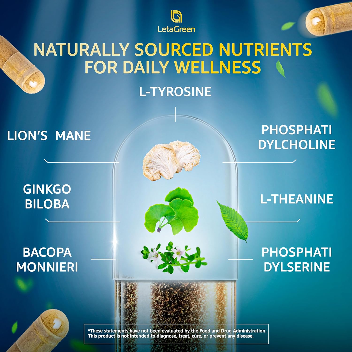 Organic Lions Mane Supplement Capsules - 240 Real Mushrooms Lion's Mane Capsules with Ginkgo Biloba Herb, Bacopa Monnieri, L Theanine, L Tyrosine - Mushroom Complex for Daily Wellness
