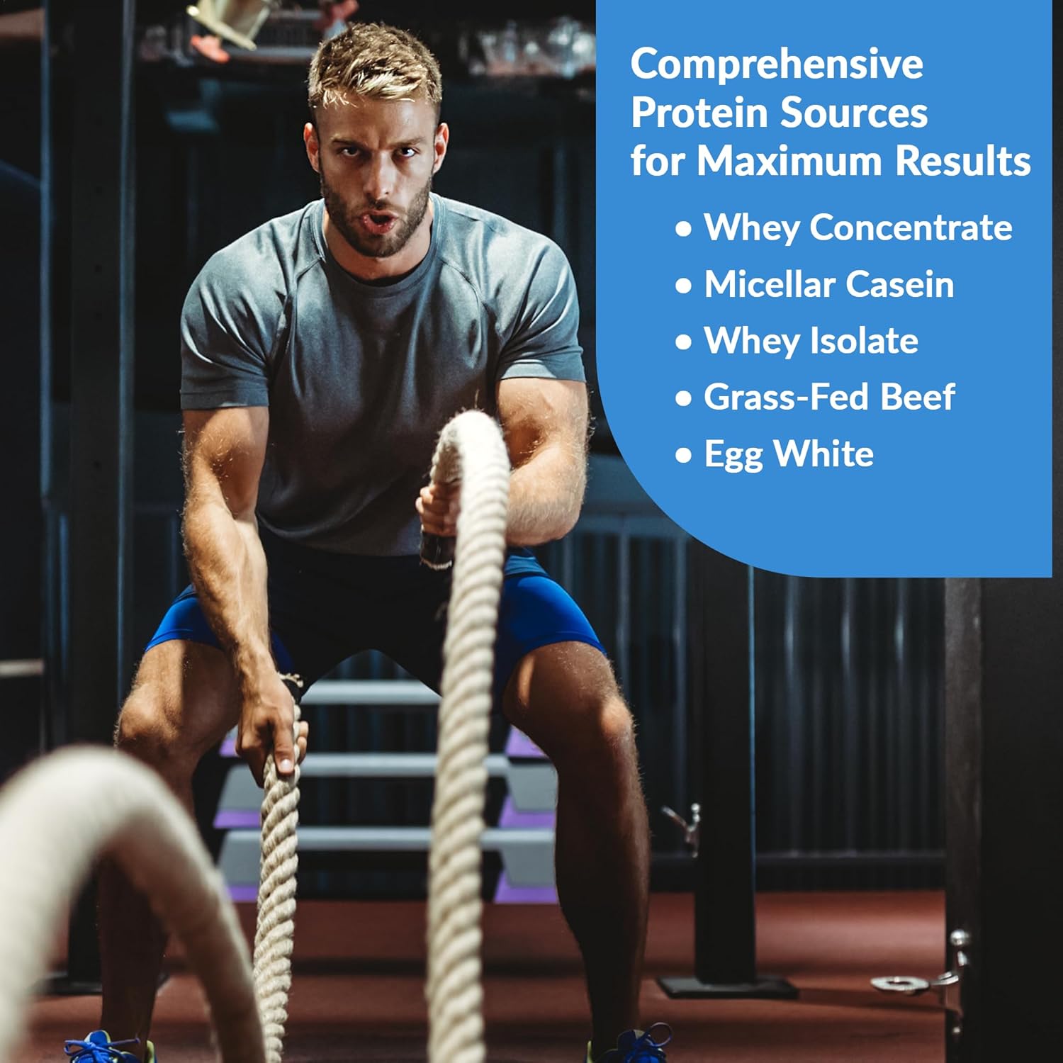 Granite Nutrition Protein Powder - Premium 5-Source Blend (Whey, Casein, Egg, Grass-Fed Beef) for Lean Muscle and Recovery - Blueberry Muffin Flavor, 30 Servings