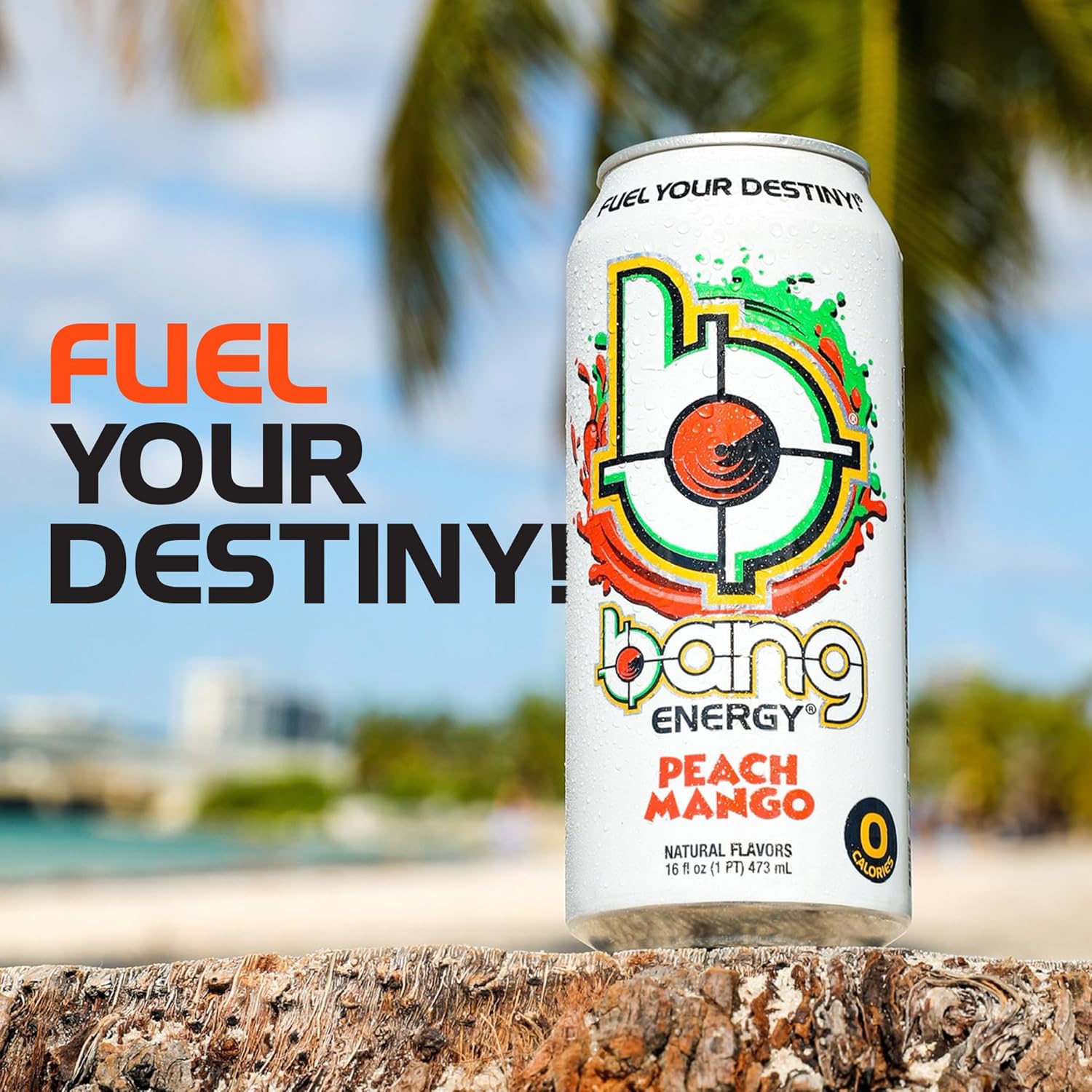 Bang Energy Peach Mango, Sugar-Free Energy Drink, 16-Ounce (Pack of 12)