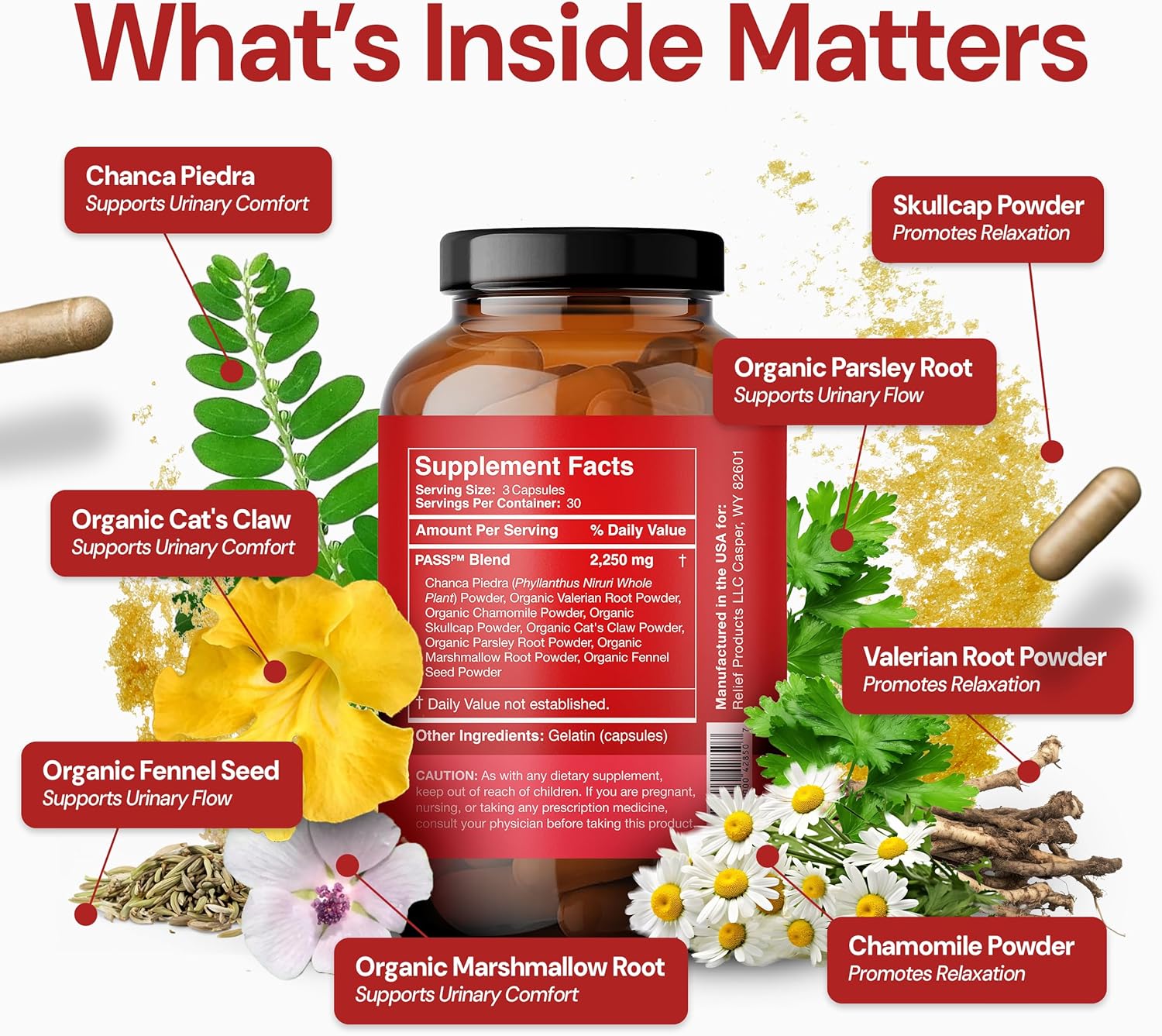Pass PM – Nighttime Kidney Support Complex for Gentle Relief & Restful Sleep - Natural Dissolver - Herbal Formula with Chanca Piedra Stone Breaker, Valerian & Skullcap – 90 Capsules