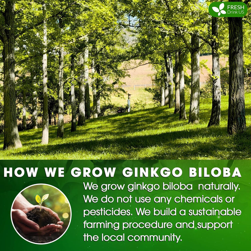FreshDrinkUS, Premium 55 Ginkgo Biloba Leaf Tea Bags, 100% Natural & Pure from Ginkgo Biloba Leaves. Loose Leaf Herbal Tea. Made with Eco-Conscious Tea Bags. No Sugar, No Caffeine, No Gluten, Vegan.