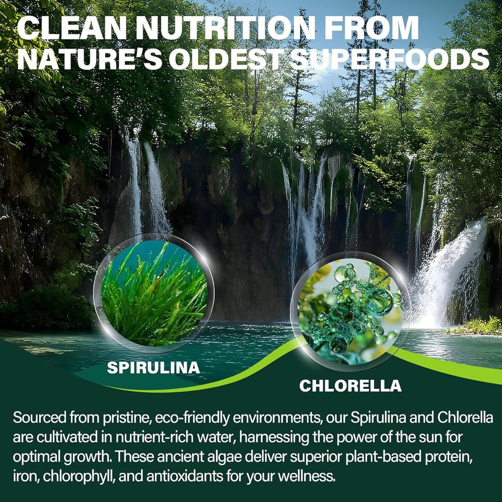 Organic Spirulina Chlorella Gummies, Super Greens with Powerful Antioxidants & Excellent Rich in Chlorophyll, Vegan Protein, Essential Amino Acids & Minerals – Cellular, Energy & Immunity, 60 Cts