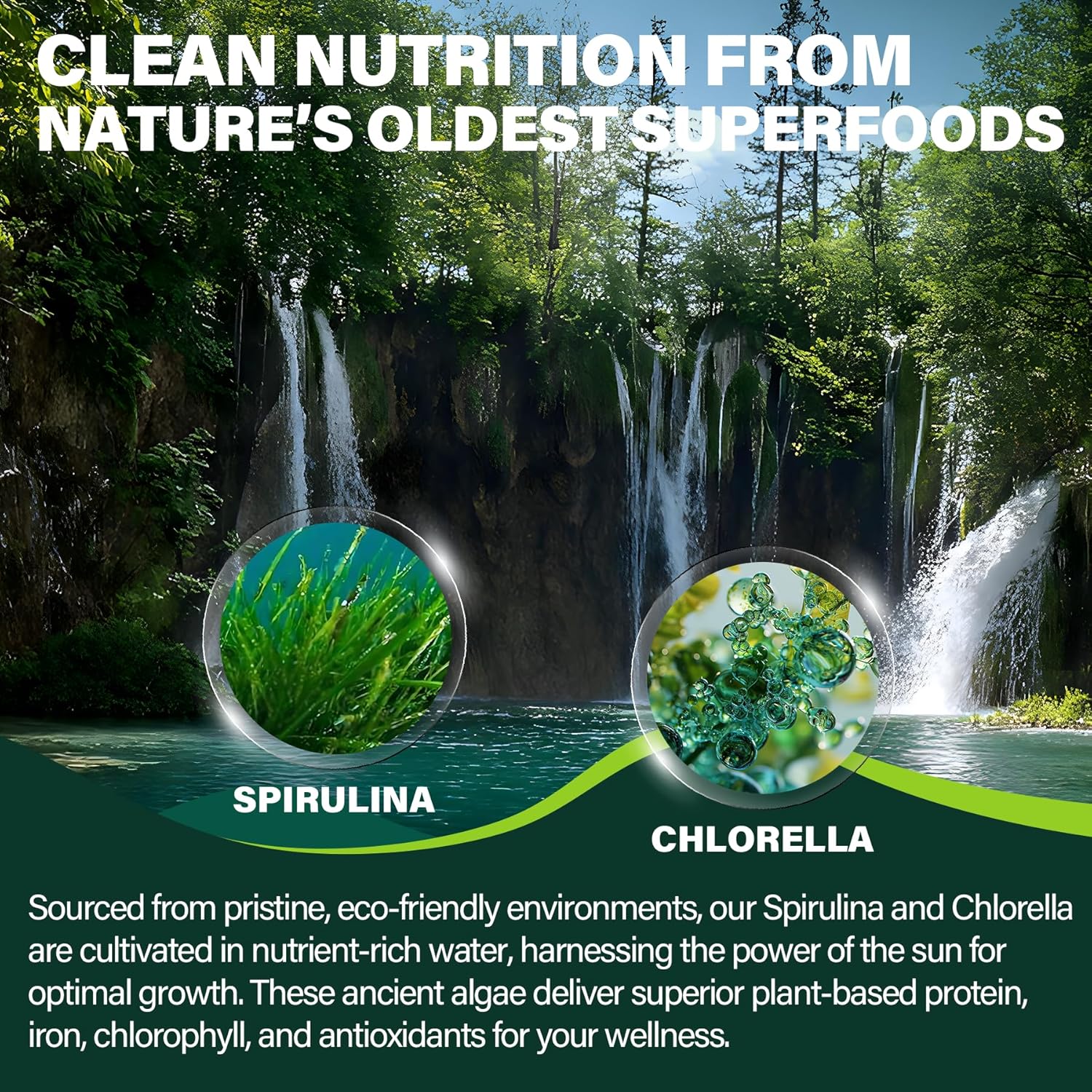 Organic Spirulina Chlorella Gummies, Super Greens with Powerful Antioxidants & Excellent Rich in Chlorophyll, Vegan Protein, Essential Amino Acids & Minerals – Cellular, Energy & Immunity, 60 Cts