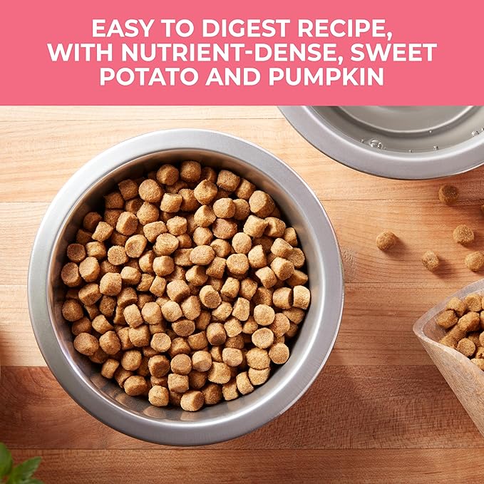 Nature’s Recipe Grain Free Dry Dog Food Salmon, Sweet Potato & Pumpkin Recipe, 24 lb. Bag