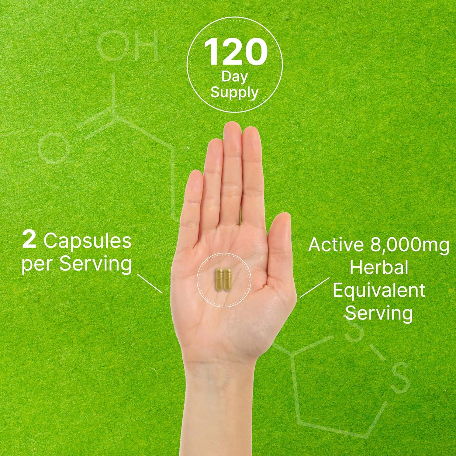 Organic 10-in-1 Mushroom Supplement, 240 Capsules – Lions Mane, Turkey Tail, Reishi, Cordyceps & More Mushroom Complex – Immune, Energy & Nootropic Brain Support – Non-GMO