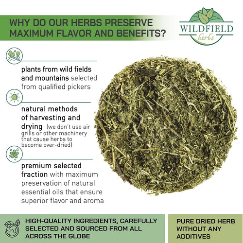 100 Bags Nettle Leaf Tea Ortiga Dried Nettle Herb Planta Bulk (Urtica Dioica) - 100 Count 1.5g Tea Bags Herb Hojas De Ortiga