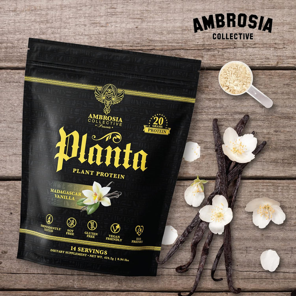 Ambrosia Planta - Premium Organic Plant-Based Protein | Vegan & Keto Friendly | Gourmet Flavors with No Bloating or Stomach Upset | Gluten & Soy Free | No Added Sugar | 14 Servings | (Vanilla)