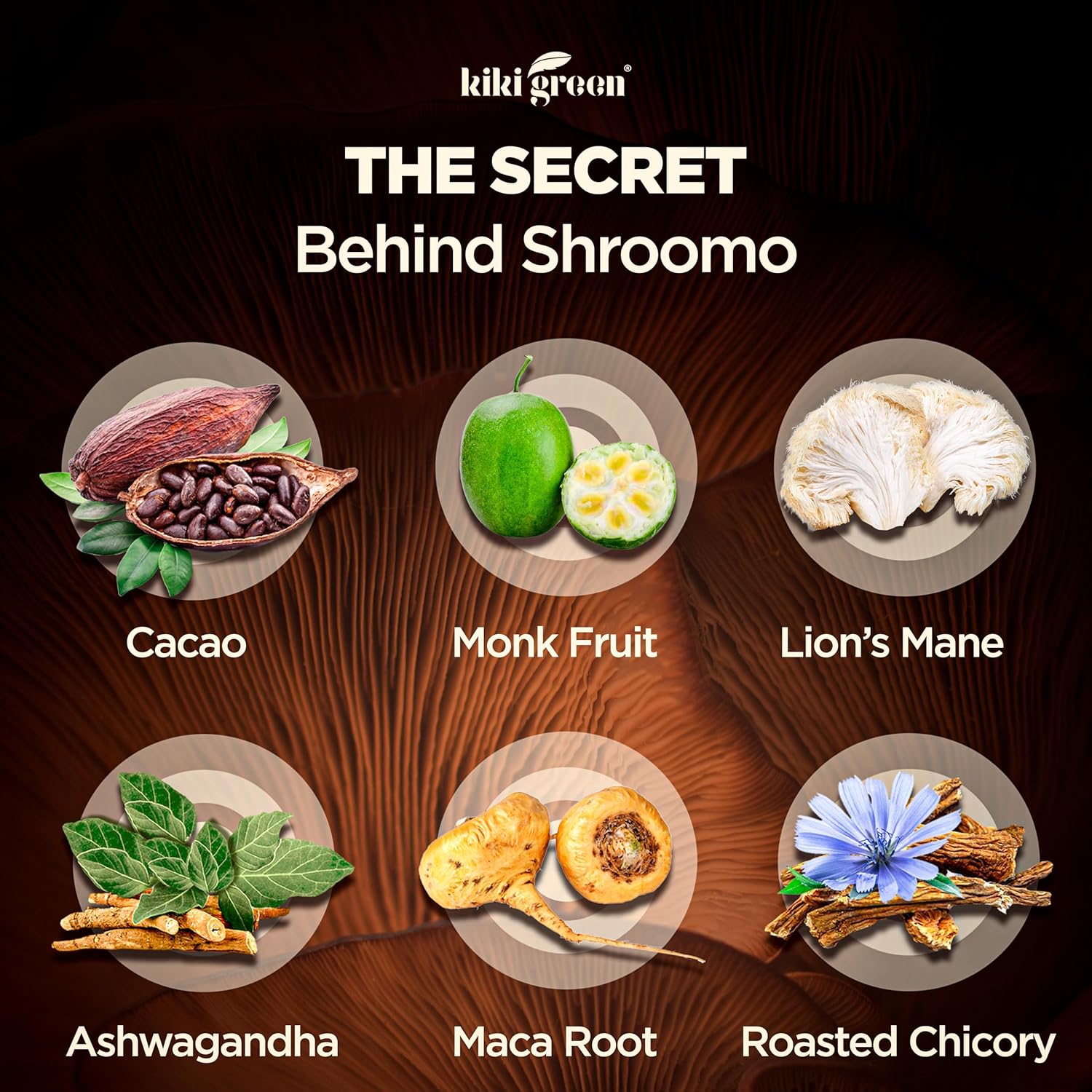 Shroomo Mushroom Coffee Alternative - Master Blend of Lion's Mane, Ashwagandha, Maca Root, Roasted Chicory, Monk Fruit For Mental Clarity, Energy, Focus - Cacao Hot Chocolate Drink 8 oz by KIKI Green