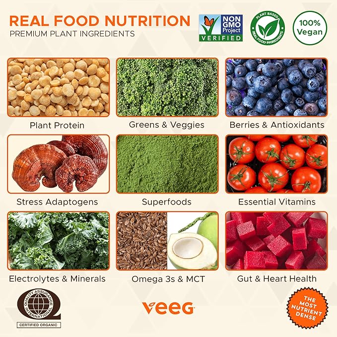 Veeg All in One Protein Smoothie Powder – Vegan Protein Powder & Collagen Boost. Organic Pea Protein, MCT, Probiotics & Multivitamin. One Scoop Daily Energy, Wellness & Balance 15 Servings (Vanilla)