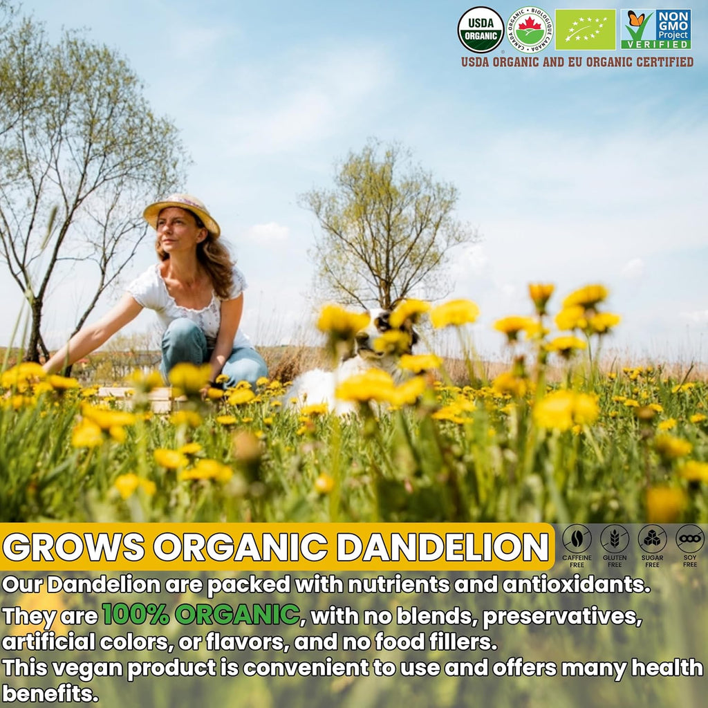 USDA Organic Dandelion Root Tea Bags , Roasted Coffee Substitute & Liver Kidney Cleanse Tea, Digestion & Bloating Relief Support, 100% Organic & Pure Dandelion Root, Non-GMO, Caffeine Free, 120 teabags Eco-Conscious Corn Fiber