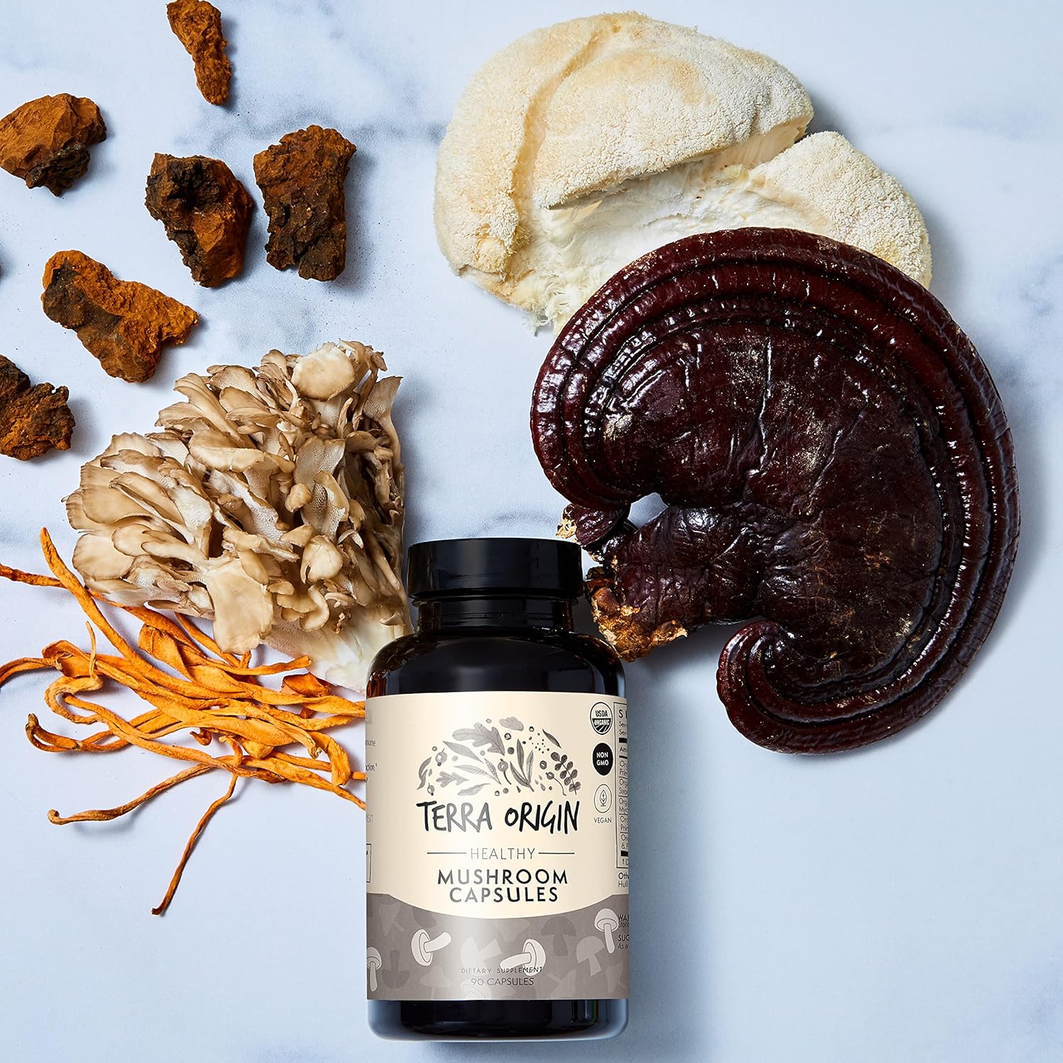 TERRA ORIGIN Healthy Mushroom Complex Supplement | 90 Capsules | Reishi, Lions Mane, Changa, Cordyceps, Maitake | Immune & Nootropic Brain Support | Certified USDA Organic, Non GMO, Vegan