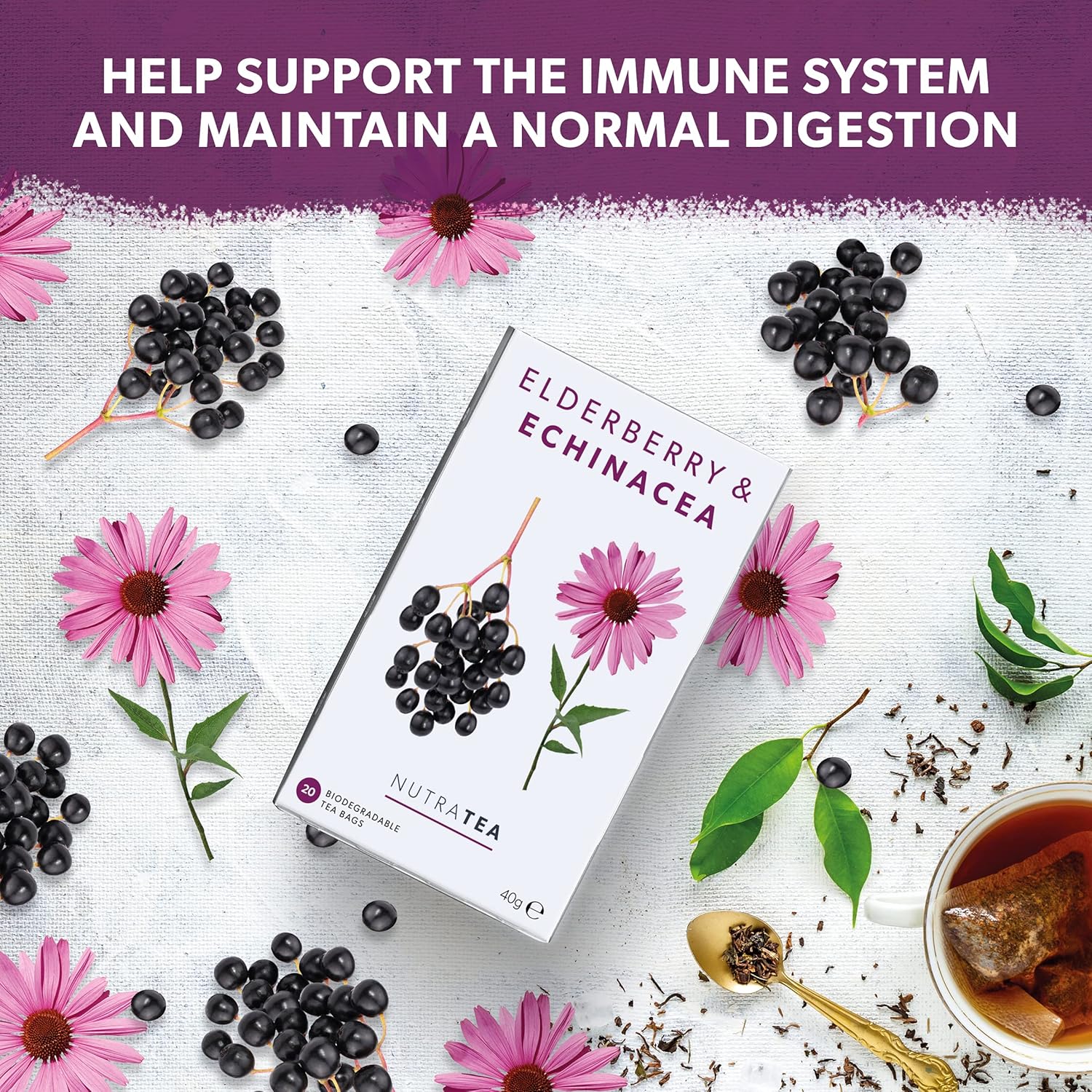 Nutra Tea Elderberry & Echinacea Immunity - 60 Tea Bags (3 Pack)