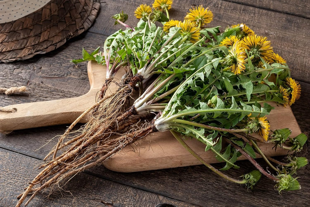 Dandelion Root Tea 1LB (16Oz) | 100% Certified Organic | Loose Dandelion Root Tea (200+ Cups) Cut and Sifted| 100% Raw Albanian Harvest | by U.S. Wellness Naturals
