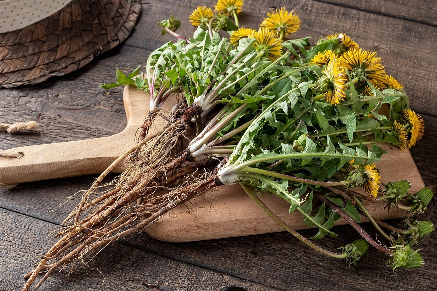 Dandelion Root Tea 1LB (16Oz) | 100% Certified Organic | Loose Dandelion Root Tea (200+ Cups) Cut and Sifted| 100% Raw Albanian Harvest | by U.S. Wellness Naturals