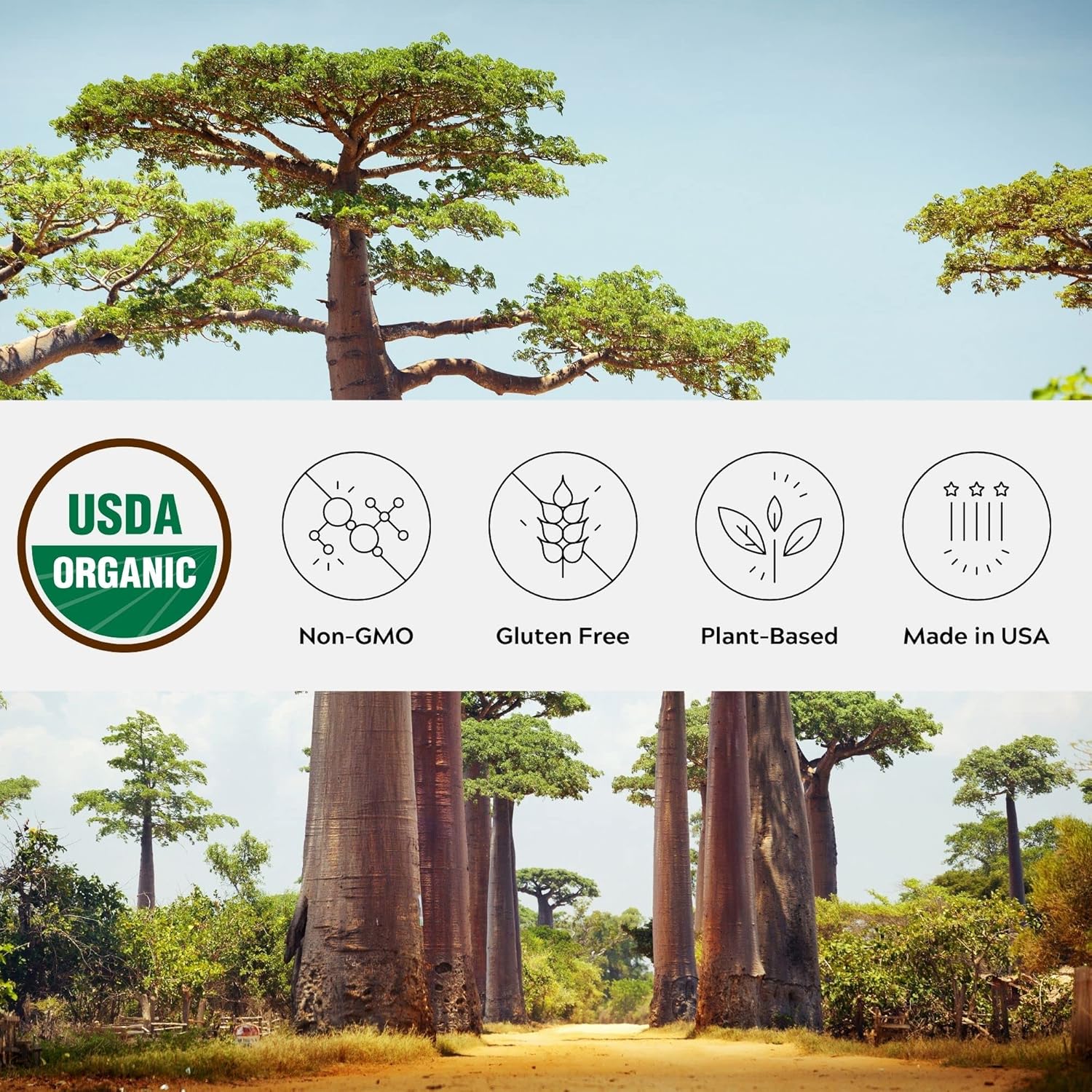 One Farm by WAAYB Organic Baobab Powder Non-GMO, Fair-Trade, Vegan, Gluten Free, Single Origin, 100% South African Baobab, Premium Quality in Resealable Jar