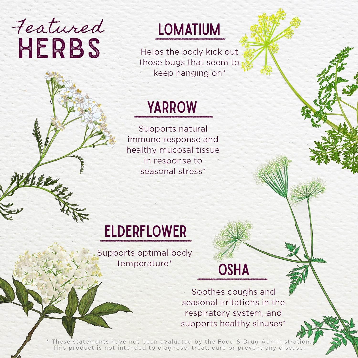 WishGarden Herbs Serious V-Fighter - Plant-Based Herbal Rapid Immune Support & Respiratory Health with OSHA & Goldenseal, Soothes Aches & Irritated Lungs, Supports Optimum Body Temperature, 4oz