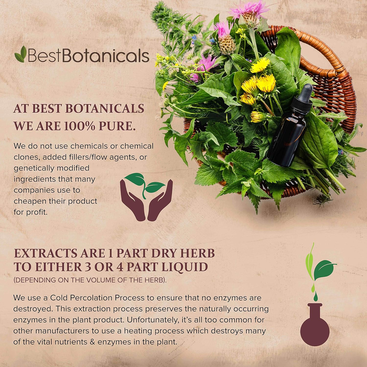 Best Botanicals Eleuthero Root Cut 4 oz.
