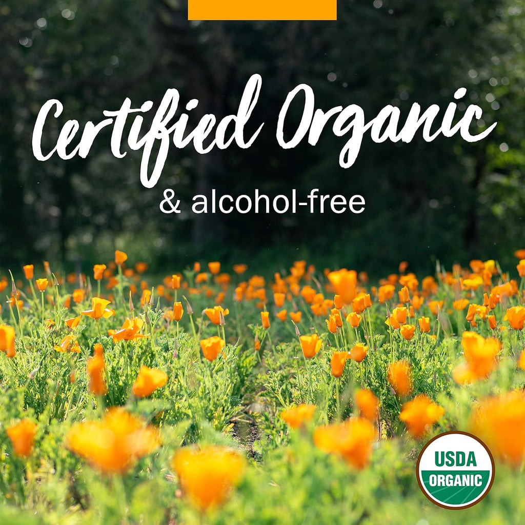 Herb Pharm Organic Echinacea Root Extract, Alcohol-Free: Immune System Support for All Seasons, Fast-Acting Echinacea Plant Supplement, Non-GMO, Vegan & Gluten-Free, 1 Oz