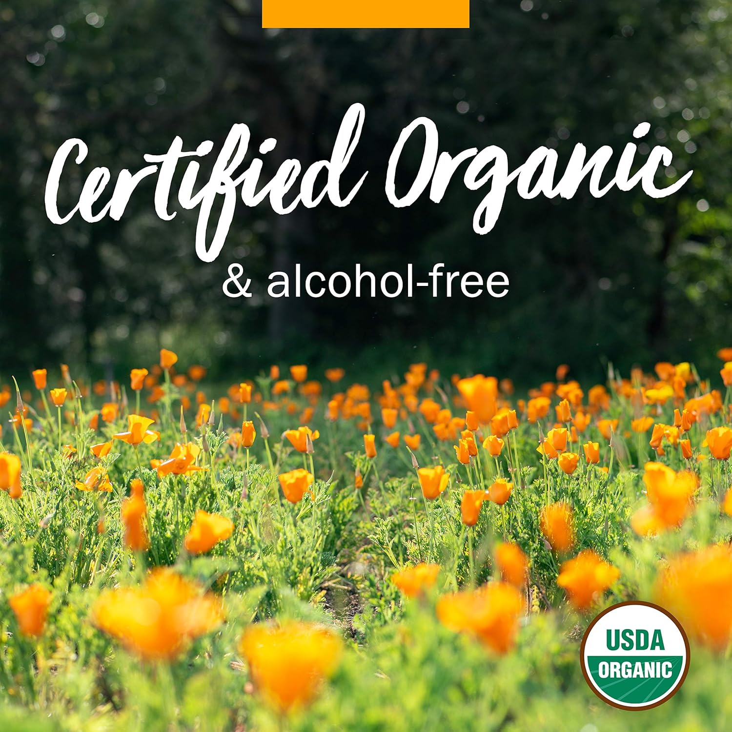 Herb Pharm Organic Echinacea Root Extract, Alcohol-Free: Immune System Support for All Seasons, Fast-Acting Echinacea Plant Supplement, Non-GMO, Vegan & Gluten-Free, 1 Oz