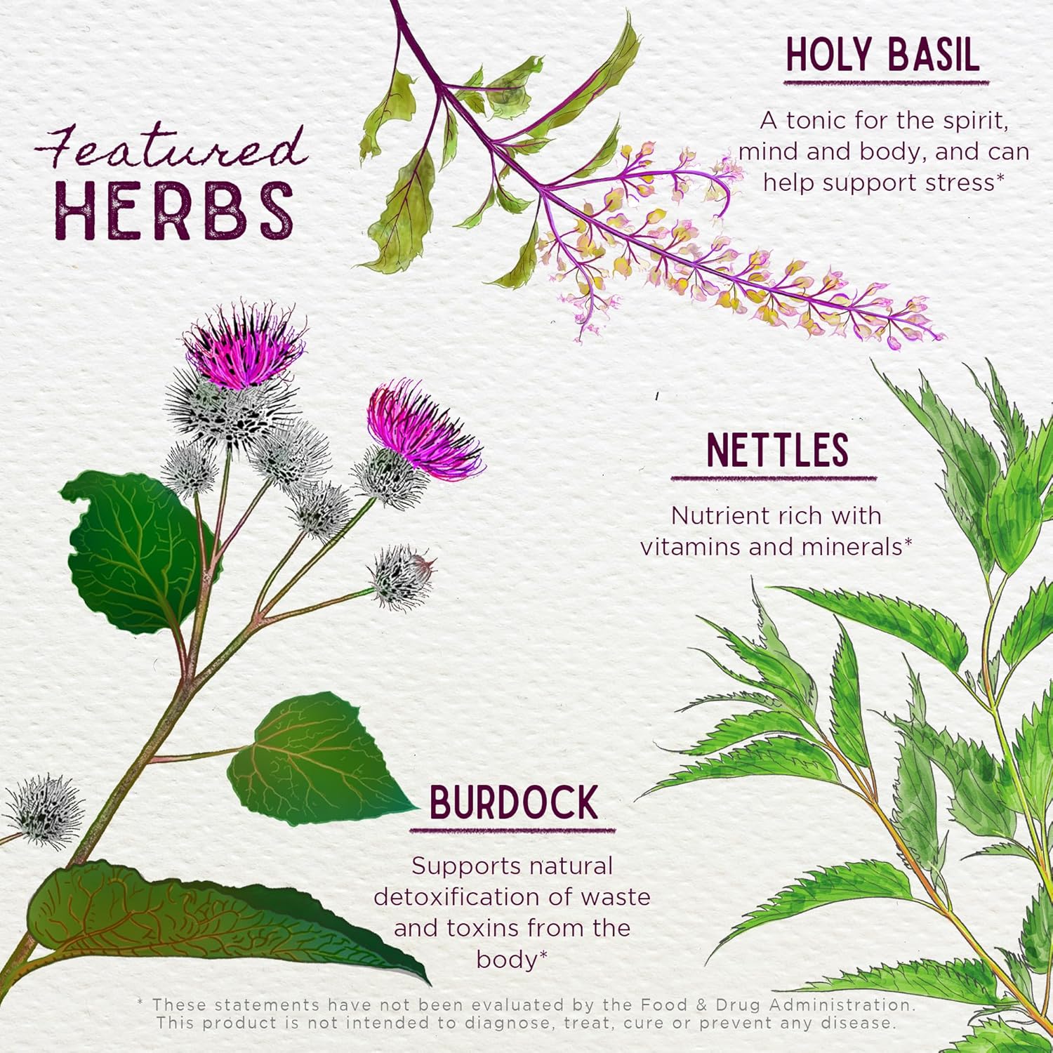 WishGarden Herbs Cycle Changes Herbal Menopause Support - Plant-Based Supplement w/Black Cohosh, Wild Yam & Vitex Supports Hormone Balance for Women in Transition from Perimenopause to Menopause, 4oz