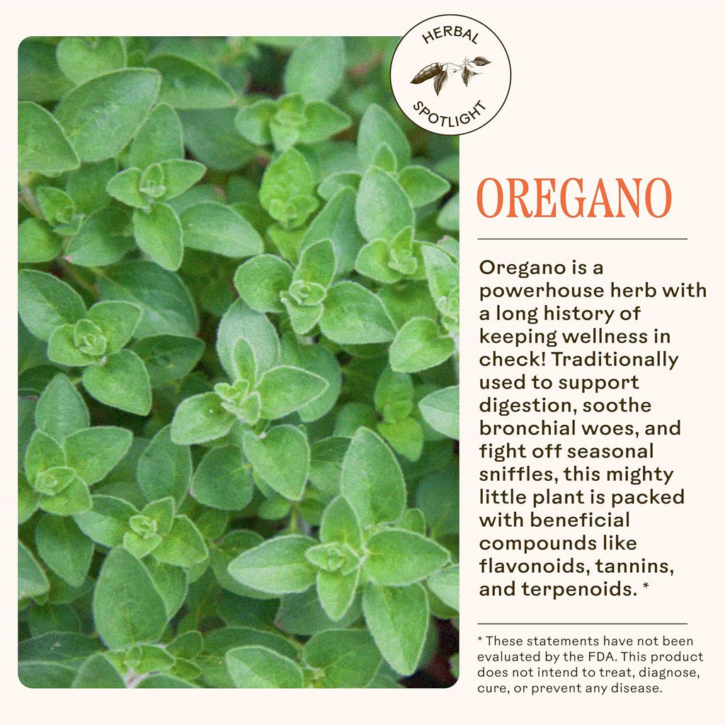 Wooden Spoon Herbs Oregano Daily Wellness Supplement | Immune Support, Digestive Health & Antioxidants | Organic Oregano Leaf & Garlic | Gentle, Stomach-Friendly Formula | 90 Capsules, Vegan & Non-GMO