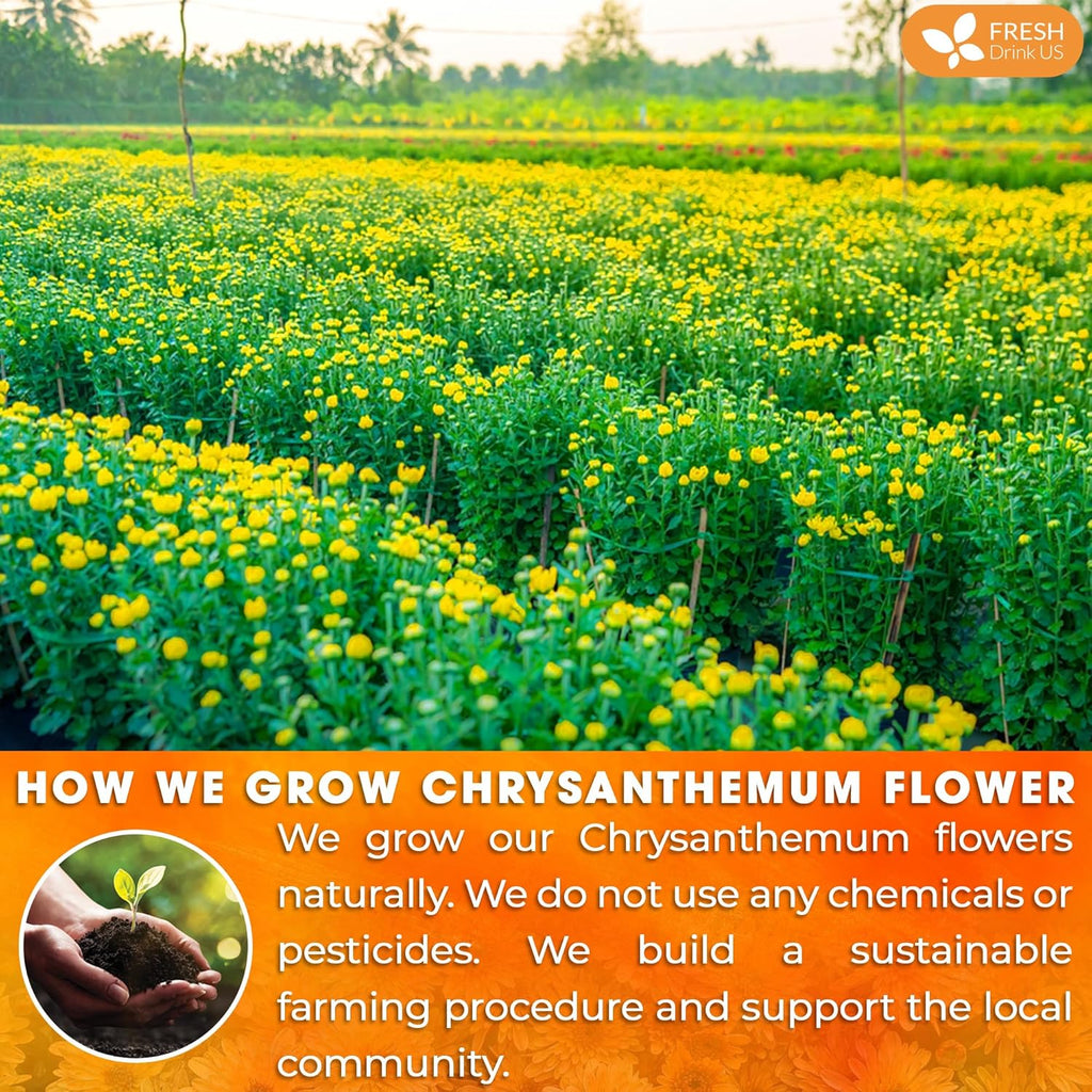 FreshDrinkUS, Premium 5oz Chrysanthemum Flowers, 100% Natural & Pure Chrysanthemum Flower Dried, Chrysanthemum Herbal Tea, No Additives, No Caffeine, Vegan
