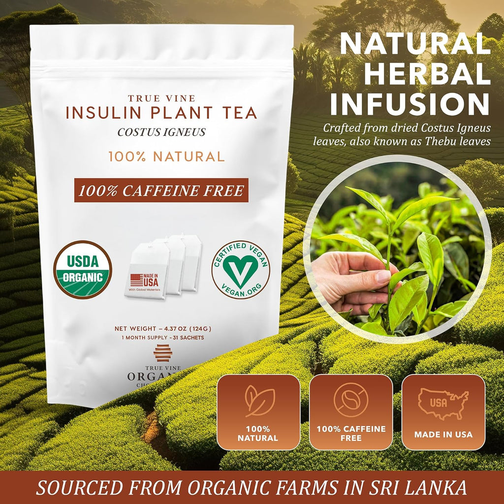 True Vine Insulin Plant Tea (USDA Organic) — Herbal Organic Tea Bags for Blood Sugar Support, Digestive Wellness & Metabolic Balance — 100% Natural, Caffeine-Free, No Additives – 31 Sachets (4g Each)