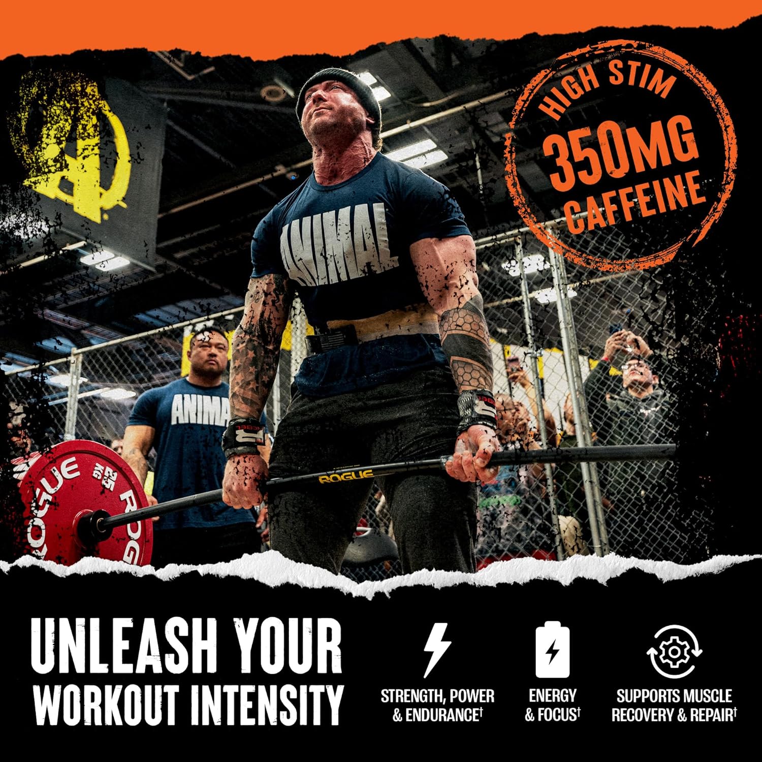 Animal Fury - Pre Workout Powder Supplement for Energy and Focus - 5g BCAA, 350mg Caffeine Nitric Oxide Without Creatine - Powerful Stimulant for Bodybuilders - Blue Raspberry