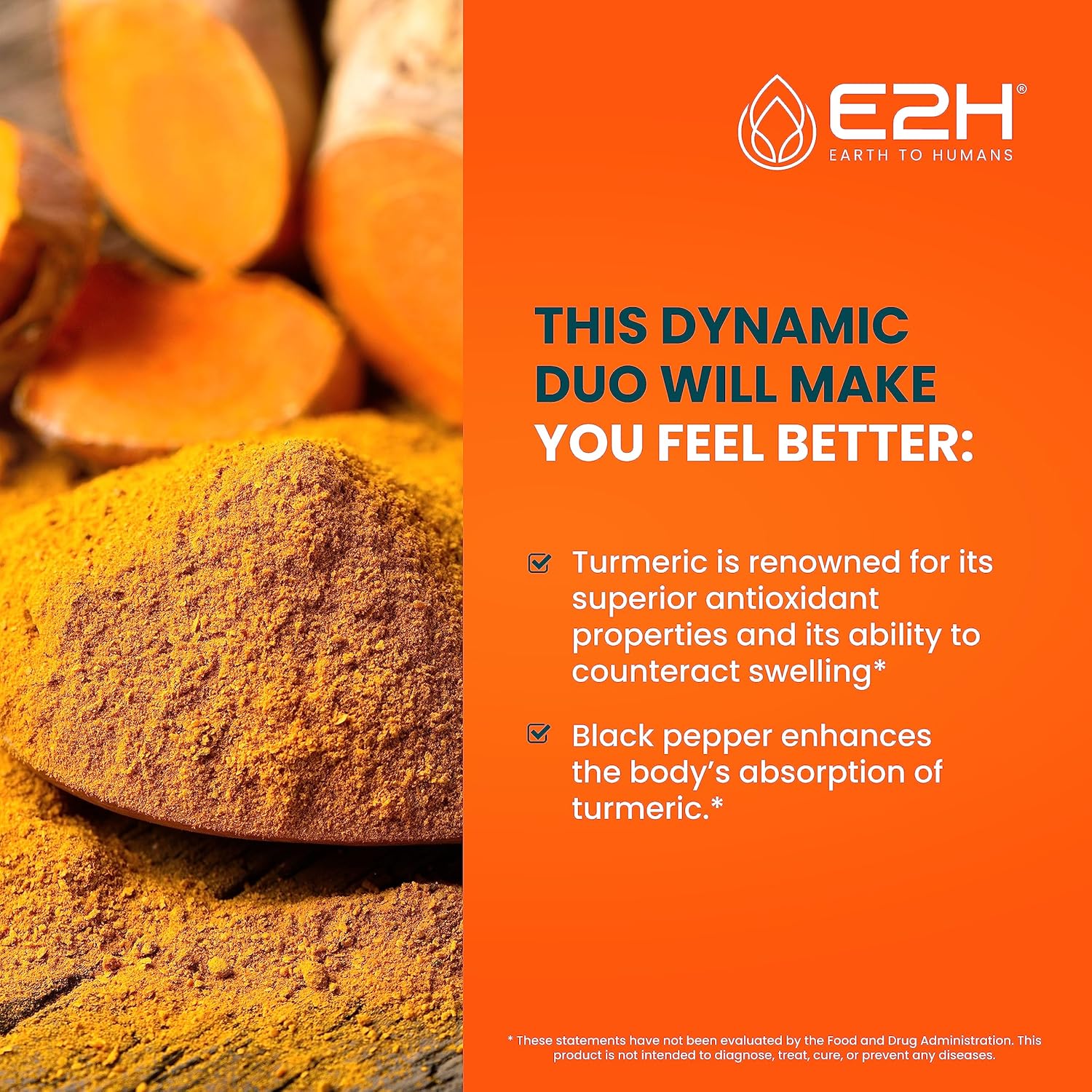 E2H Turmeric Curcumin Drops with Black Pepper - Boost Your Health - Joint Support Supplement - Vegan - Non-GMO - (2 Bottles)