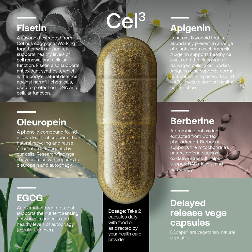 SRW Cel³ Renewal 60 Capsules | Stem Cell Supplement with Fisetin, Apigenin & Oleuropein | for Youthful Cell Function & Renewal, Healthy Aging