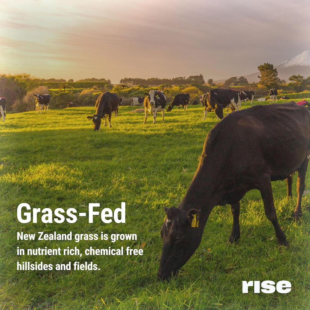 Rise Grass-Fed Whey Protein Powder - Vanilla | 25g Protein No Artificial Flavors, Colors, or Preservatives - Sugar Free, Gluten-Free, Soy Free (2.3 lbs)