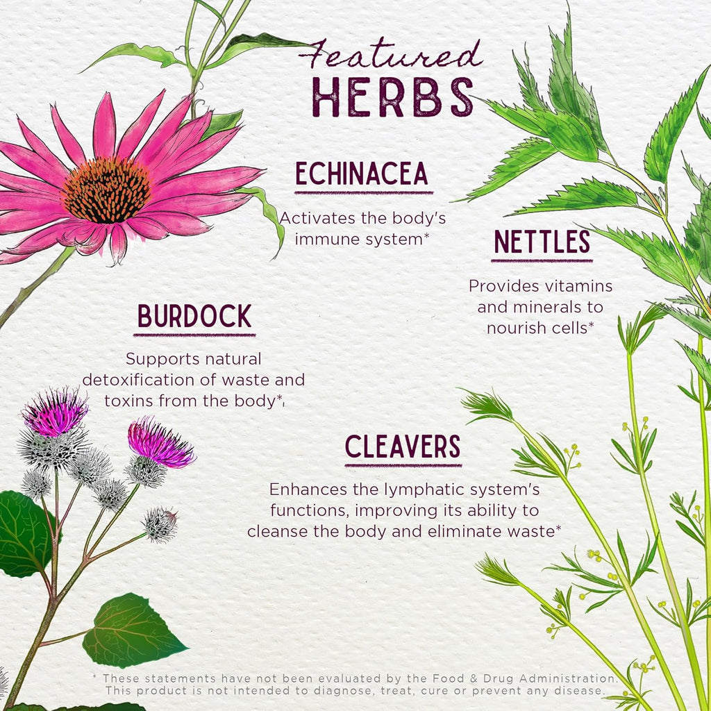 WishGarden Herbs Daily Immune Builder with Black Elderberry & Astragalus - Daily Immune Support Formula for Adults, Herbal Immune System Booster with Elderberries, 4oz