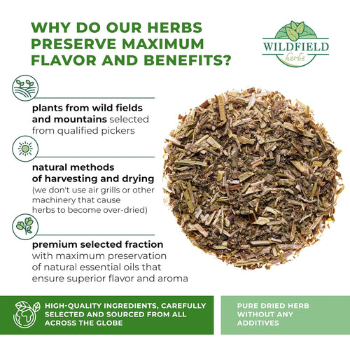 30 Bags Catnip Tea Catnip Herb Tea (Nepeta L.) - 30 Count 1.5g Bags Cat Nip Leaf Herb Hierba Gatera