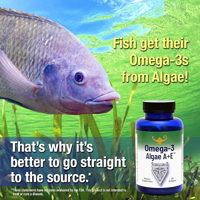 RnA ReSet Omega-3 Algae A+E – Plant-Based DHA & EPA with Vitamins A and E, Fish Oil Alternative (60 Softgels) NSF Certifed