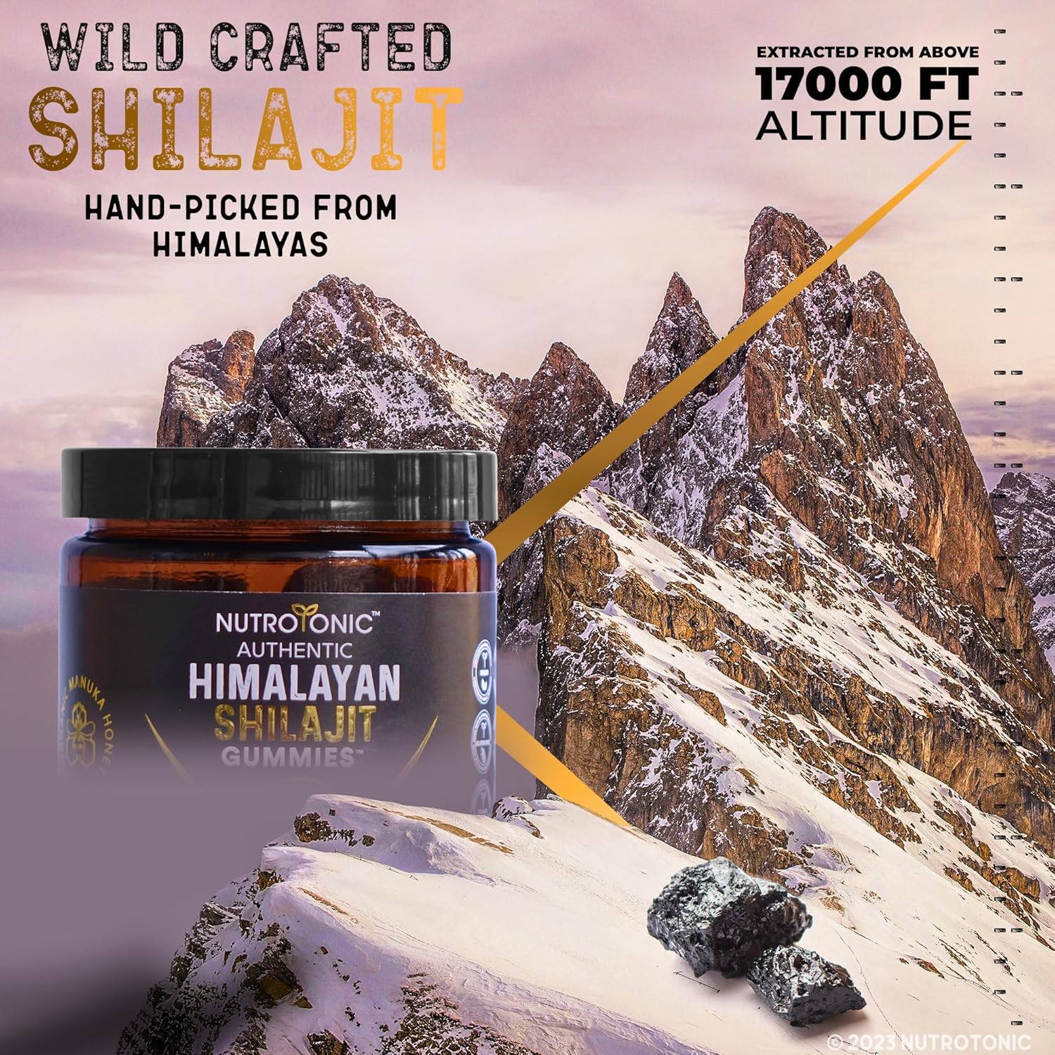 NutroTonic® Organic Himalayan Shilajit Gummies – Pomegranate & Vanilla Flavored – Wild Crafted Manuka Honey MGO +263 – Cellular Energy & Hormonal Balance – Made in USA – 30 Healthy Gummies