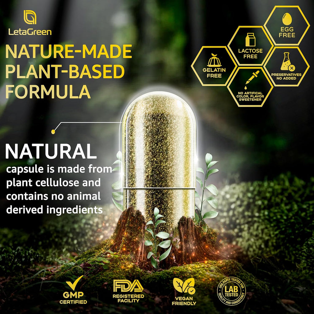 Sea Moss Capsules – 17-in-1 Blend with Black Seed Oil Ashwagandha Bladderwrack Burdock Root Turmeric Vitamin D3 K2 C for Daily Wellness – Multimineral Supplement for Men & Women – 120 Count