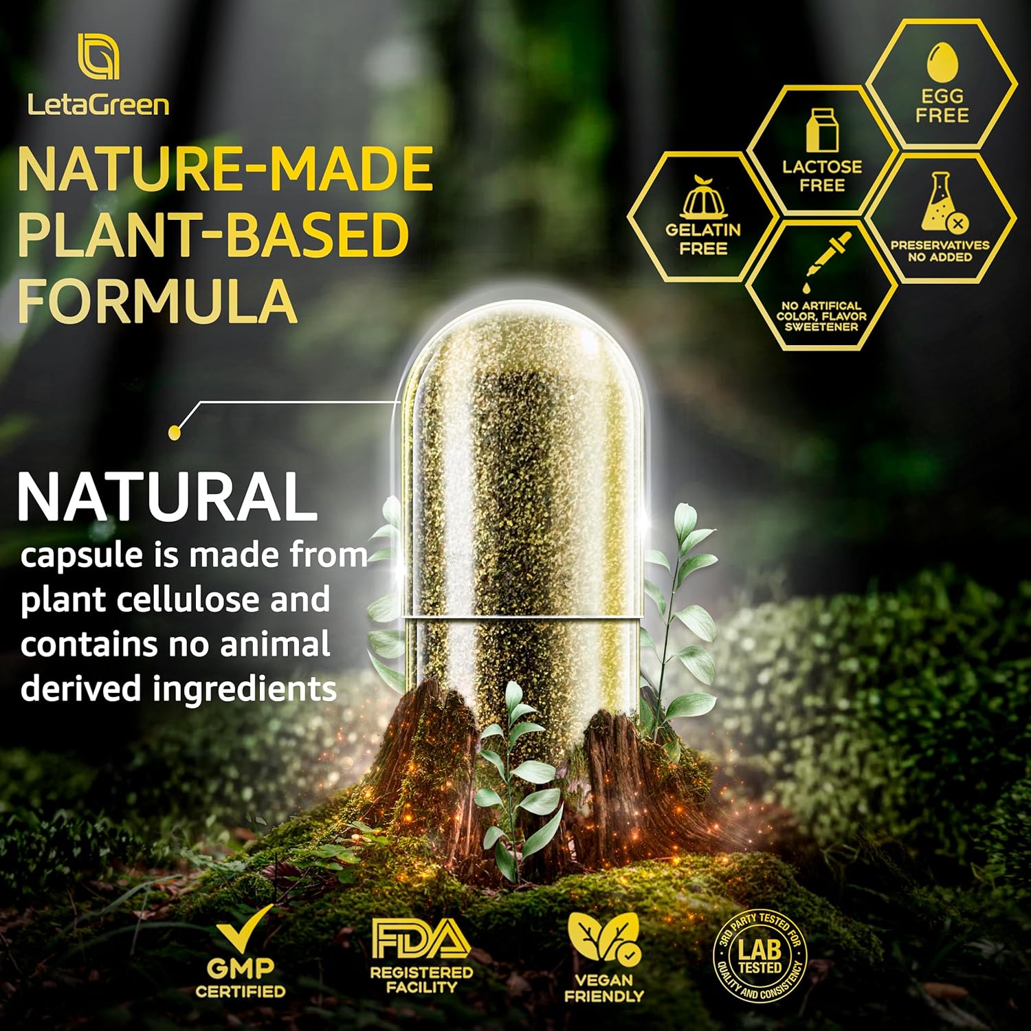 Sea Moss Capsules – 17-in-1 Blend with Black Seed Oil Ashwagandha Bladderwrack Burdock Root Turmeric Vitamin D3 K2 C for Daily Wellness – Multimineral Supplement for Men & Women – 120 Count