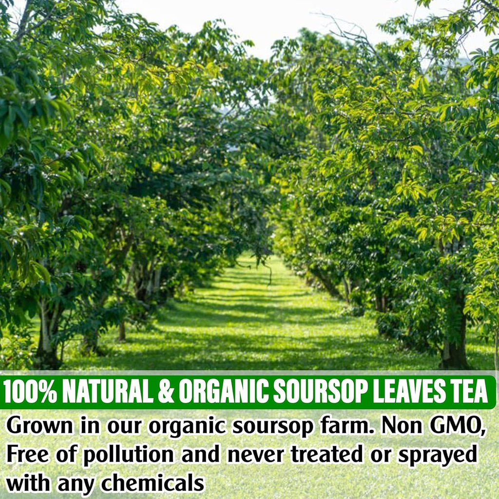 KEYXE - USDA Organic Soursop Graviola Leaves Tea 90 Bags. Non-GMO Verified , 100% Organic Soursop Leaves for Digestion, Boosting Immune, Improving Sleep & Skin Health, Gluten Free, Caffein Free , Hojas De Guanabana Tea Organica, Eco-Conscious Tea Bags