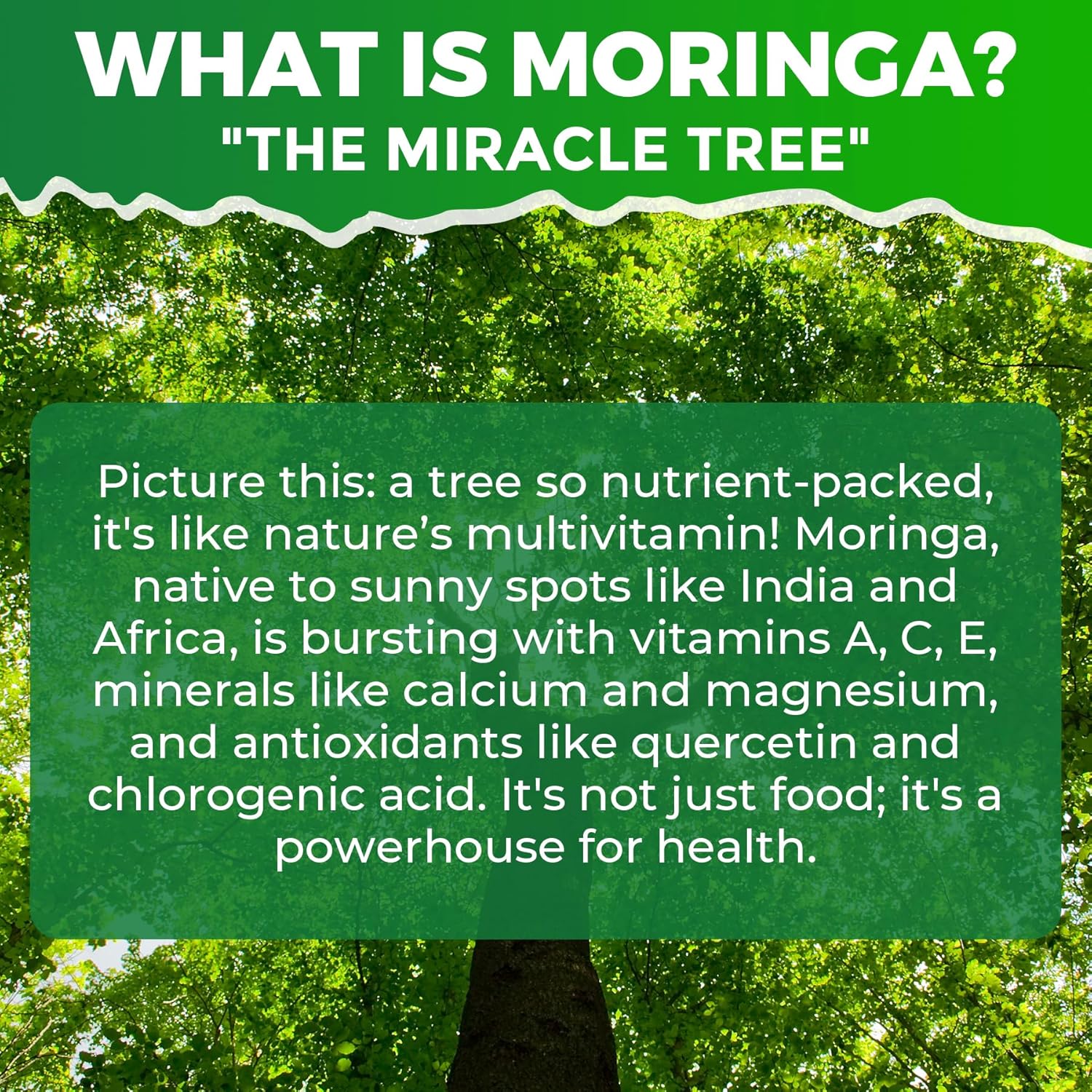 Moringa Spirulina Gummies Organic, Rich in Antioxidants, Essential Vitamins & Amino Acids, Pure Moringa Oleifera Leaves with Wheatgrass & Chlorella for Energy & Immunity, Green Superfood, 120 Cts