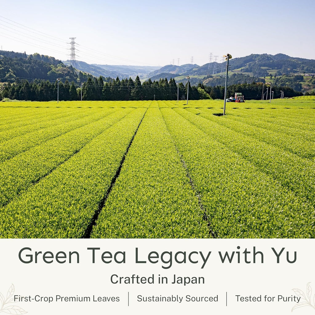 Yu Tea Decaf Organic Sencha Green Tea Powder, 30 Instant Packets | Rich in Antioxidants, EGCG, & L-Theanine | Pure Japanese First Harvest Leaf | Caffeine-Free & Unsweetened | Single Serve Sticks