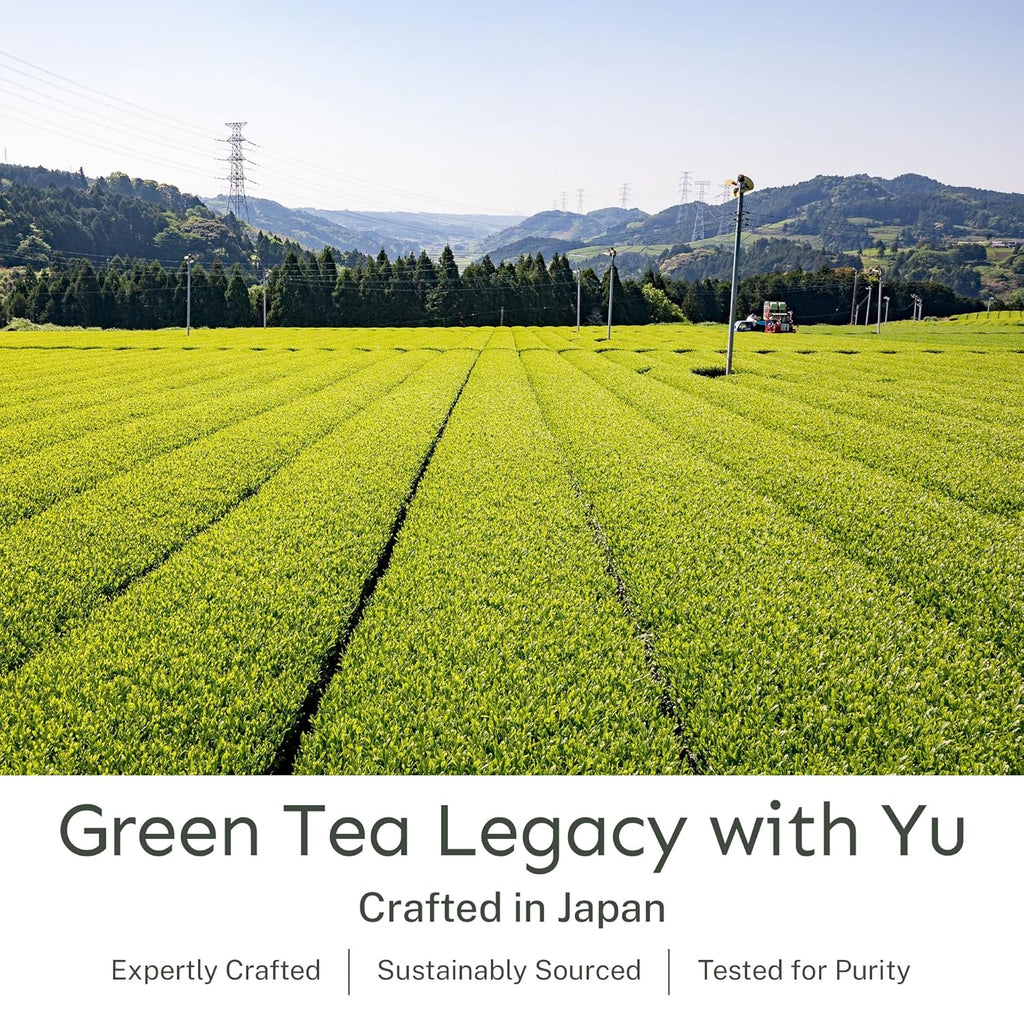 Yu Tea Organic Hojicha Green Tea Powder, 30 Instant Packets | Rich in Antioxidants & EGCG | Pure Japanese Roasted Green Tea | Low Caffeine & Unsweetened Matcha Alternative | Single Serve Sticks