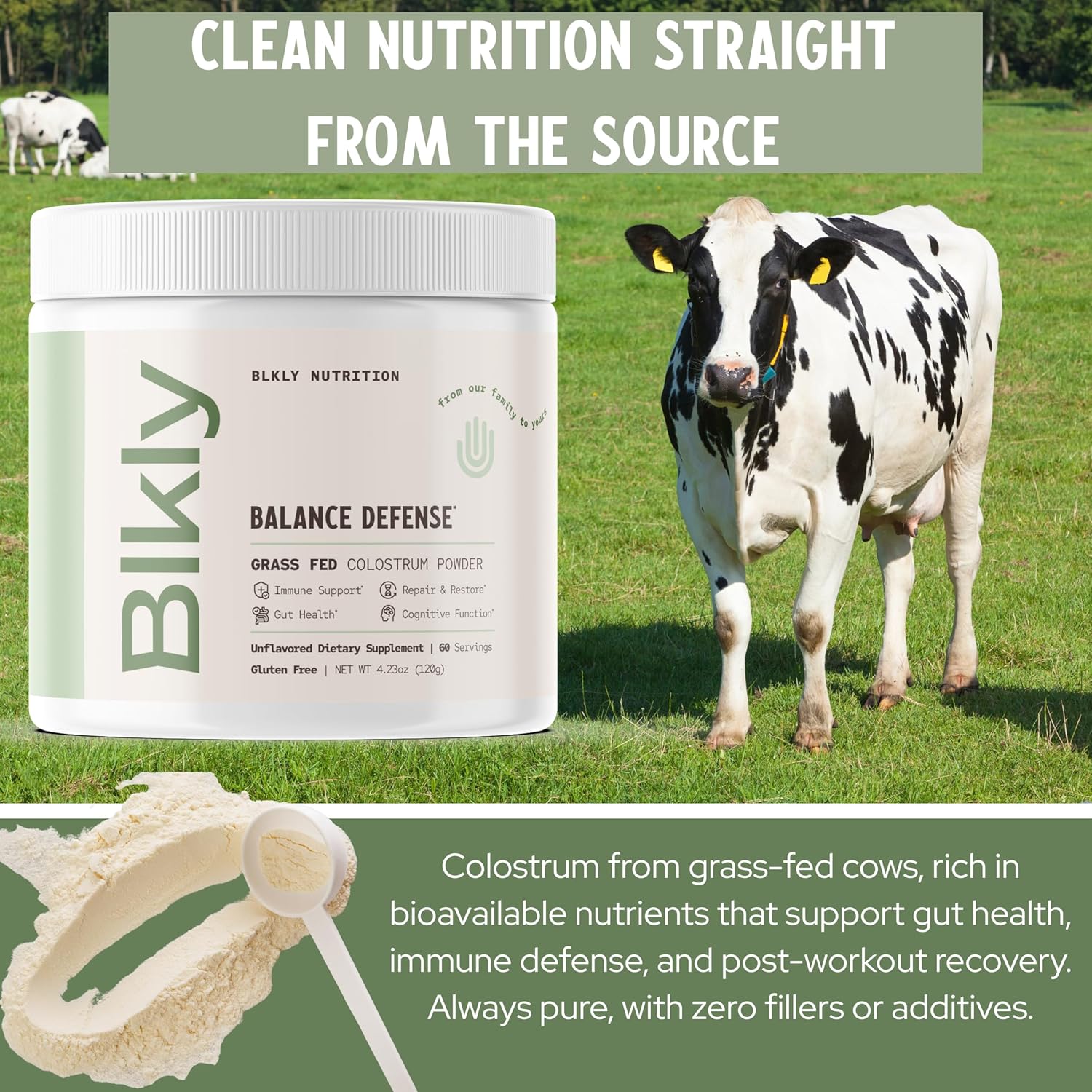 Colostrum Supplement Powder for Gut Health, Immune Support, Muscle Recovery & Wellness | Natural IgG Pure Whole Bovine Colostrum Superfood, Unflavored, 60 Servings